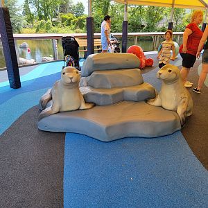 Mystic Aquarium - New playground