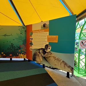 Mystic Aquarium - New playground