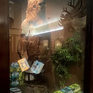 Lakefront Hotel Anchorage - Brown Bear Display