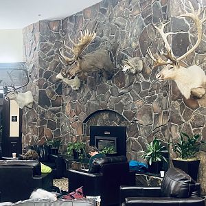 Lakefront Hotel Anchorage