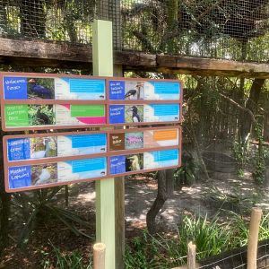 Safari Africa- Aviary (8 species)
