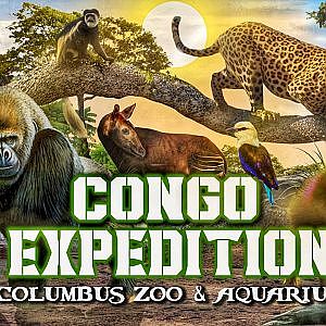 CONGO EXPEDITION | Zoo Tours