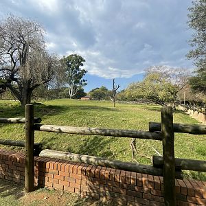 Water Buffalo and Blackbuck Enclosure (Bubalus bubalis)