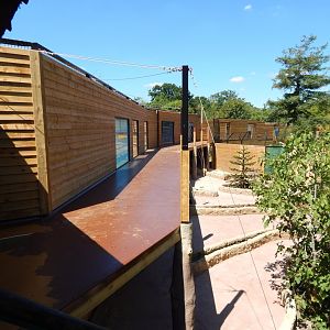 Building work on Sun Bear Heights/Jaguar Falls 100722