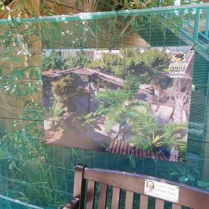 Building work on Sun Bear Heights/Jaguar Falls 100722