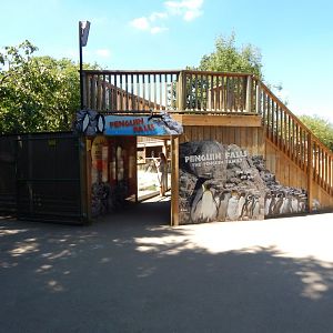 Penguin Falls 100722