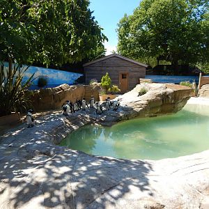 Penguin Falls 100722