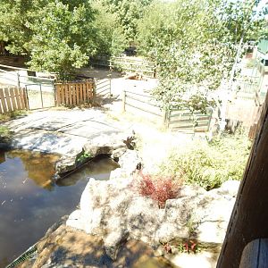 South American tapir enclosure 100722
