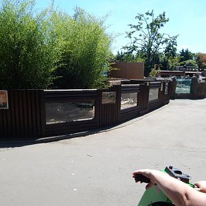 Asian small-clawed otters enclosure 100722