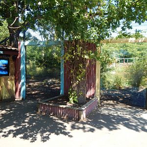 Land of the Tigers 100722