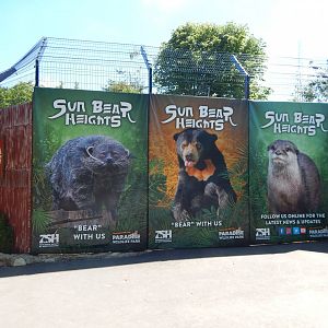 Building work on Sun Bear Heights/Jaguar Falls 100722