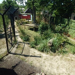 Land of the Tigers 100722