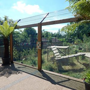 Land of the Tigers 100722