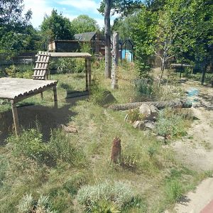 Land of the Tigers 100722