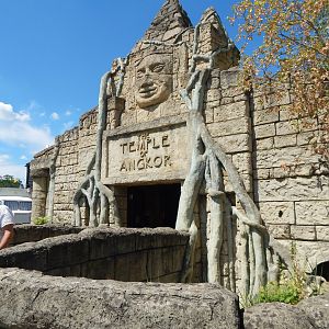The Temple of Angkor - Reptile area 100722