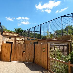 Building work on Sun Bear Heights/Jaguar Falls 100722