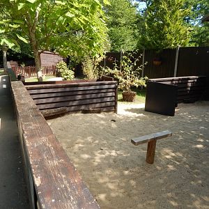 African spurred tortoise enclosure 100722