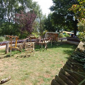 Squirrel monkey enclosure 110722