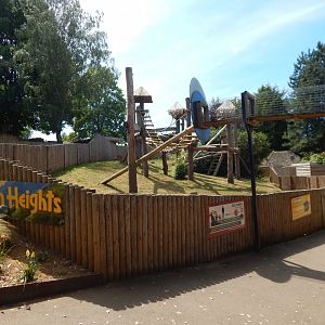 Red panda enclosure 110722