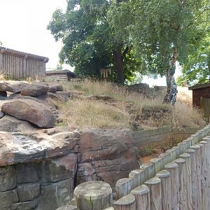Bush dog enclosure 110722