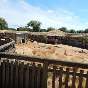 Desert Springs 110722