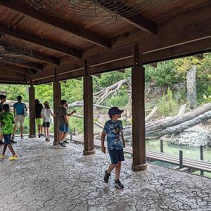 Pantanal - Jaguar enclosure
