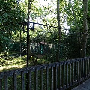 Enclosure for ed-crowned crane (07/22)