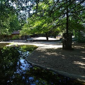 South-American mixed enclosure (07/22)