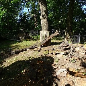 Enclosure for giant anteater (07/22)