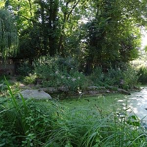 Enclosure for European otters (07/22)