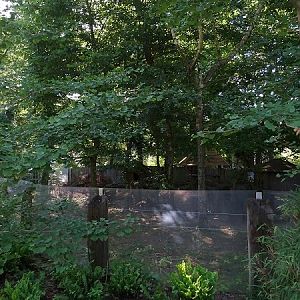 Enclosure for red panda (07/22)