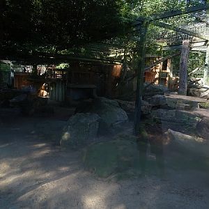 Enclosure for snow leopard (07/22)