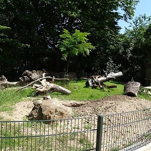 Enclosure for white-tailed porcupines (07/22)