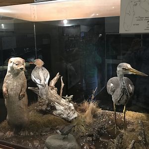 Old Byre heritage centre: Riverside diorama