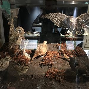 Old Byre heritage centre: Moorlands diorama
