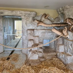 Brums favourite mock rock