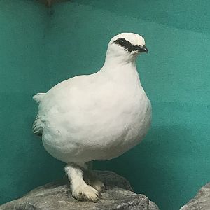 Old Byre heritage centre: Ptarmigan