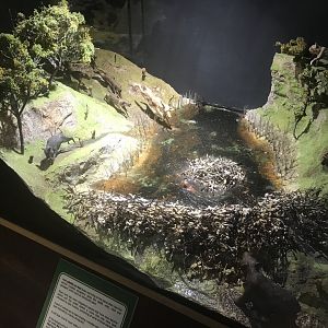 Old Byre heritage centre: Depiction of wildlife in Mull in approx. 6000BC