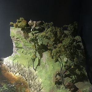 Old Byre heritage centre: Depiction of wildlife in Mull in approx. 6000BC