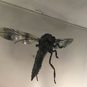 Old Byre heritage centre: Scottish midge model