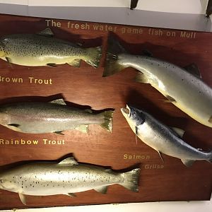 Old Byre heritage centre: Freshwater game fish on Mull