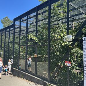 Scottish wildcat enclosure