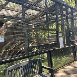 Barn owl aviary