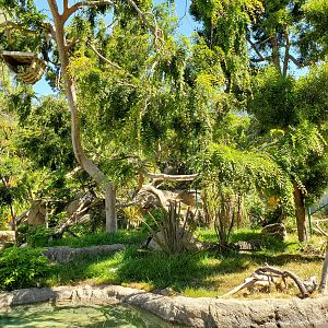 Gibbon Island - 10 Jun 2022