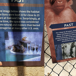 Exhibits from the past - 10 Jun 2022