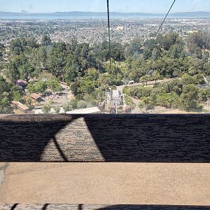 View of the zoo from the gondola - 10 Jun 2022