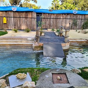 New Little Blue Penguin exhibit at the entrance