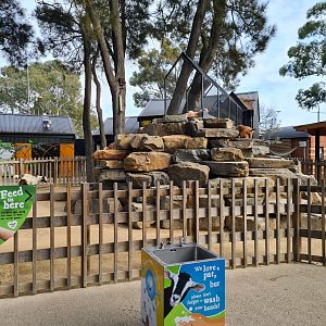 Domestic goat pen in Nature's Playground