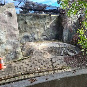 A portion of Adelaide Zoo's old Polar bear exhibit