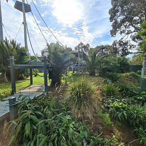 Sumatran Orangutan exhibit at Adelaide Zoo